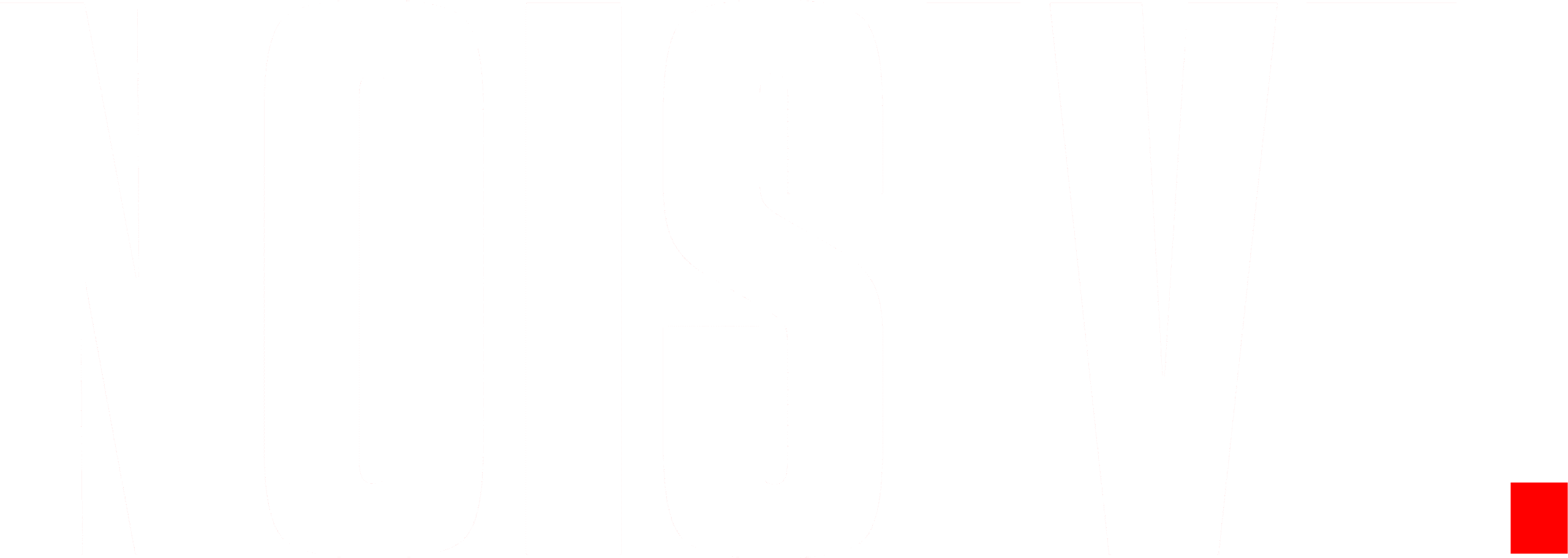 noisive white logo